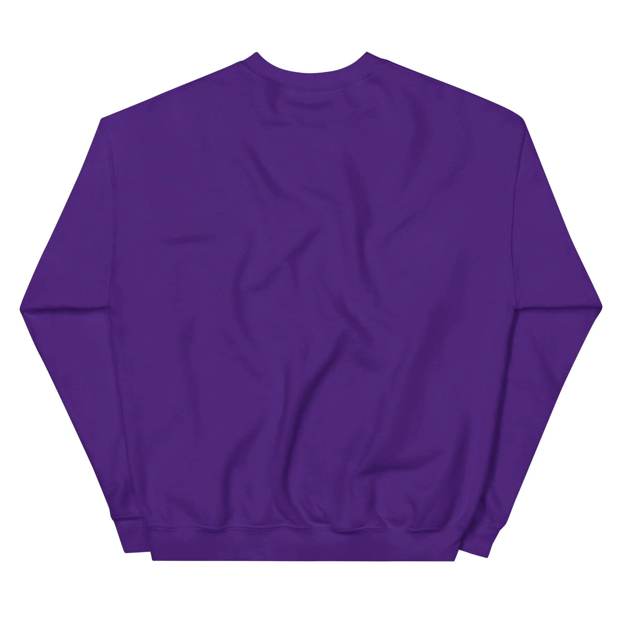 Aaron Phoenix Drop Varsity Sweatshirt - Adult Sizes - Image 8